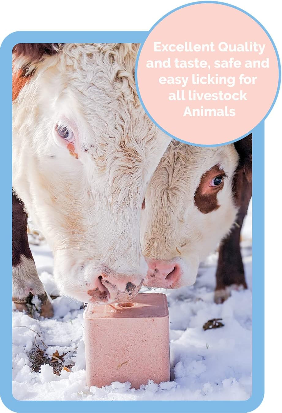 Salt Block for Deer & Horses – Compressed Mineral Salt Lick for Livestock, Cattle & Goats –  Pink Rock Salt Block (2.5LB/2KG, Block W/ Mounting Hole)