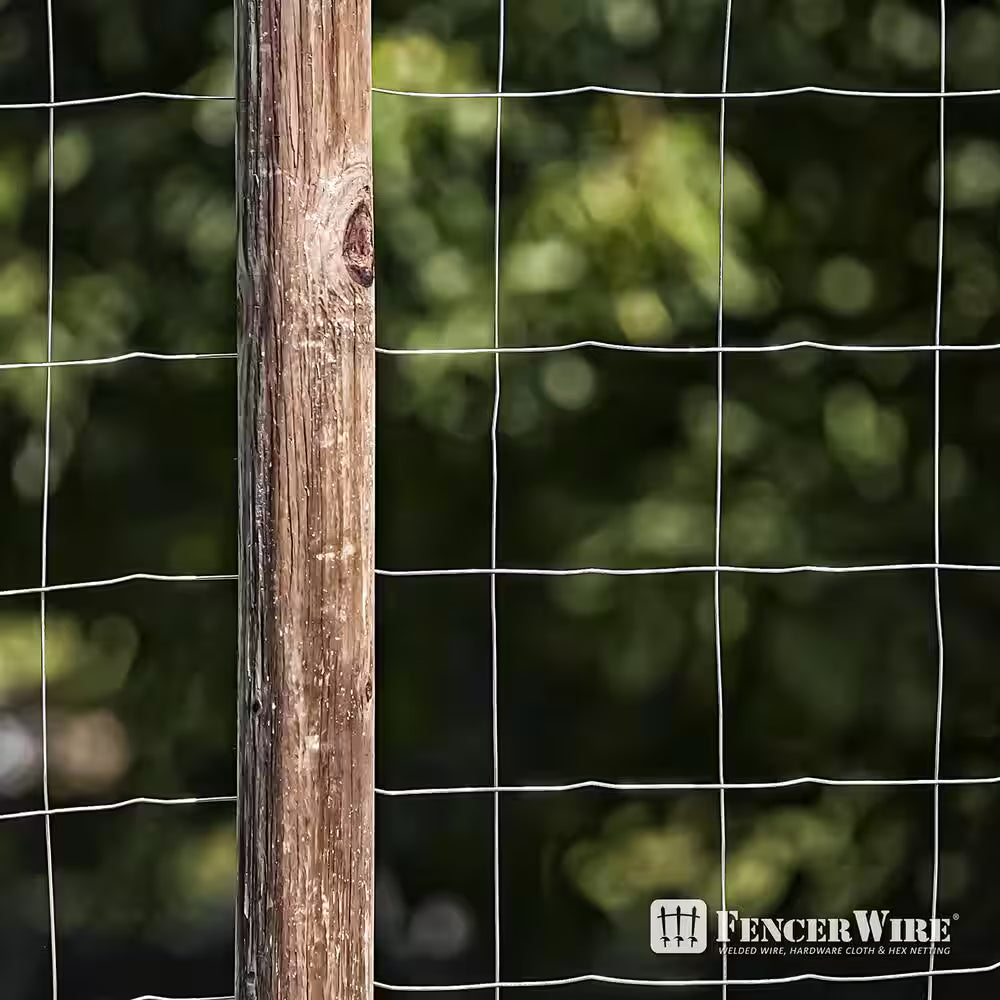 5 Ft. X 100 Ft. 16-Gauge Welded Wire Fence with 4 In. X 4 In. Mesh